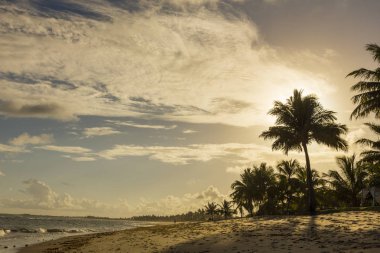 Praia beach yapmak forte, Bahia, Brezilya Palms'ta manzaralı denize güzel gün batımı
