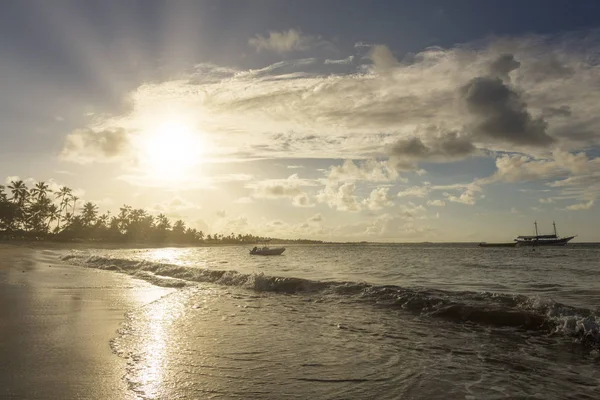 Barca Mare Tramonto Con Palme Sullo Sfondo Praia Forte Bahia — Foto Stock