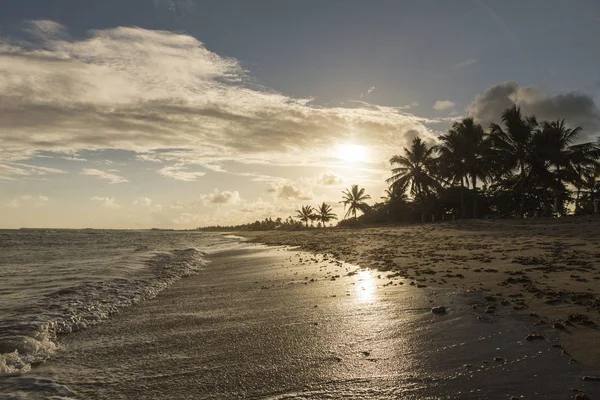 Tropisk Strand Med Vacker Solnedgång Över Havet Med Utsikt Palms — Stockfoto