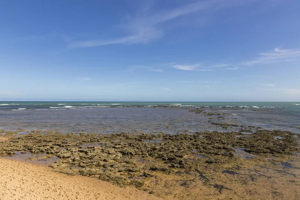 Coral Reef Praia Forte Bahia Brazil Sunset — Stock Photo, Image