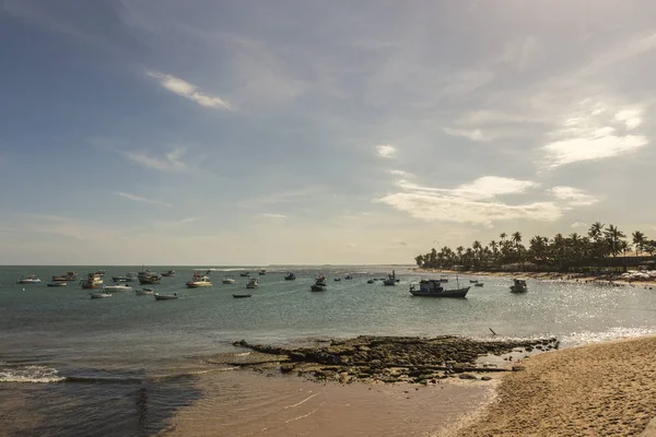 Korallenriff Praia Forte Bahia Brasilien Bei Sonnenuntergang — Stockfoto