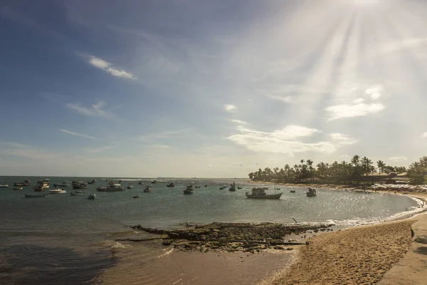 Barriera Corallina Praia Forte Bahia Brasile Tramonto — Foto Stock