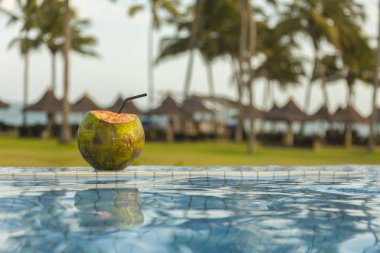 coconut on the edge of the tropical pool at sunset in a relaxing hotel clipart