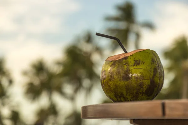 Kokosnuss Rande Des Tropischen Pools Bei Sonnenuntergang Einem Entspannten Hotel — Stockfoto