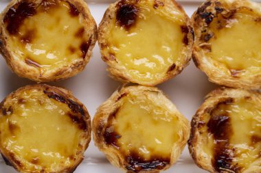 Tipik Portekizce krema pies - 