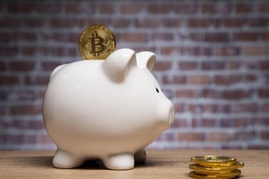 Bir kumbaranın tepesinde Bitcoin sikke