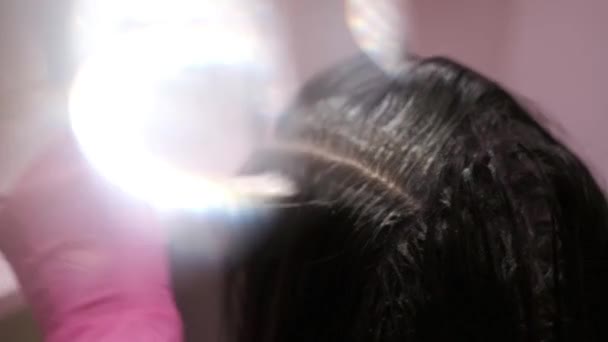 Hermoso pelo negro en el fondo del salón de belleza y luz sintética — Vídeos de Stock