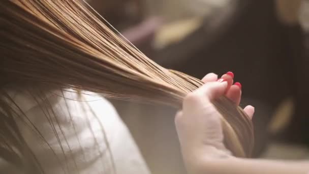 Cheveux bruns à la réception dans le salon de beauté — Video