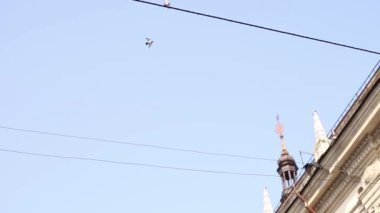 Lviv eski şehir gökyüzü ve evler