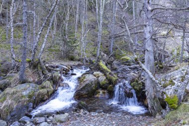 Peguera nehir, AIG Milli Parkı estortes ben Estany de Sant Maurici