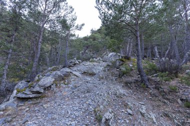 Estany Negre için yoldan Espot