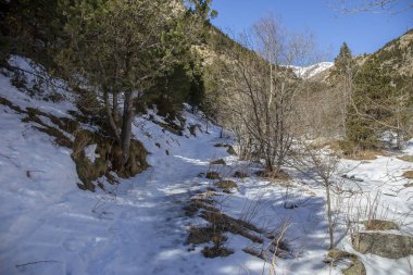 Nuria Vadisi'ne tırmanmak