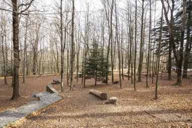 Montseny doğal park