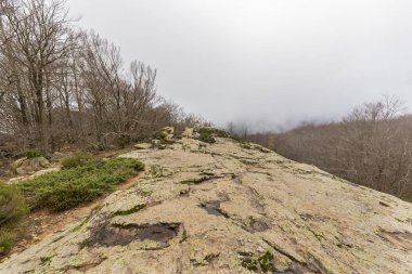Montseny doğal park