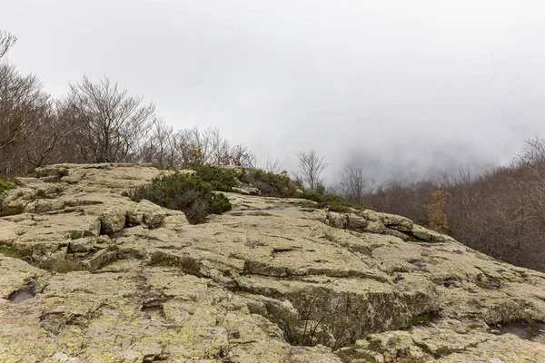 Parque natural de Montseny — Fotografia de Stock