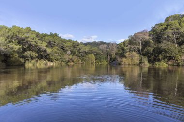 Güneşli bir günde küçük bir göl