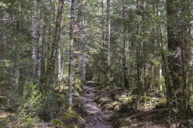 Ordesa y Monte Perdido Milli Park yolu.