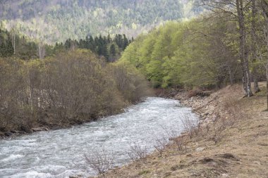 Arazas nehir Ordesa y Monte Perdido Milli Parkı içinde.