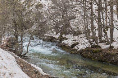 Ordesa y Monte Perdido Milli Parkı ile kar Arazas Nehri.