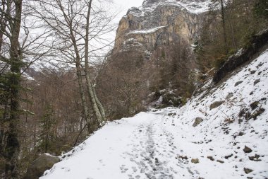 Bujaruelo Vadisi'nde kar ile Ordesa y Monte Perdido milli park.