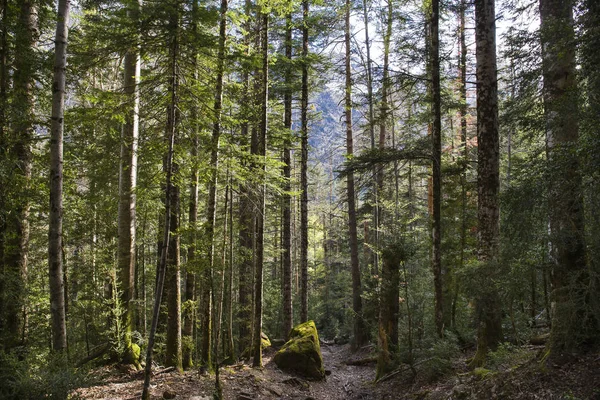 Ordesa y Monte Perdido Milli Park yolu.