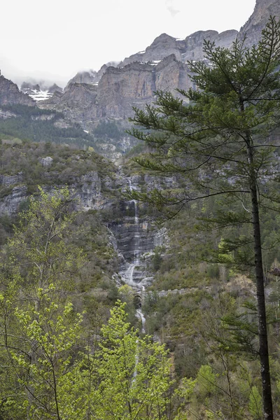 Skogen i Ordesa nationalpark under våren. — Stockfoto