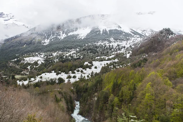 Vale do Bujaruelo no parque nacional Ordesa y Monte Perdido com alguma neve na montanha . — Fotografia de Stock