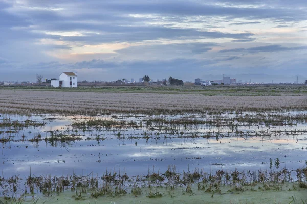 Campo de arroz com uma casa de campo em Albufera de Valência ao pôr do sol . — Fotografia de Stock