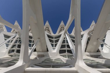 Prens Felipe Müzesi, sanat ve bilim şehri.
