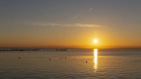 Pôr do sol em Albufera de Valência com gaivotas na água . — Fotografia de Stock