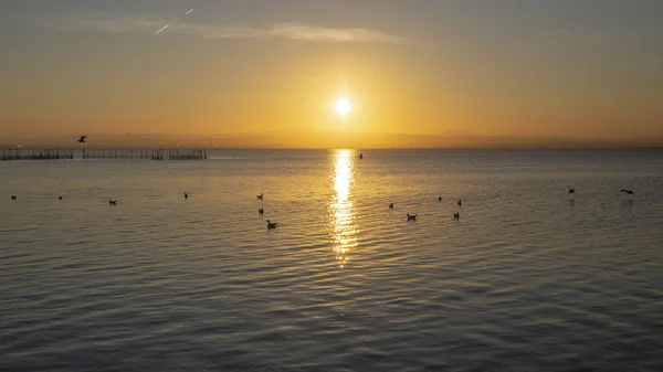 Sunset in Albufera of Valencia with seagulls in the water. — Stock Photo, Image