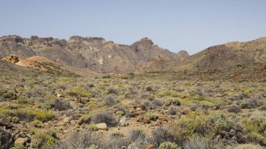 Guajara dağı Teide Milli Parkı'na tırmanın.