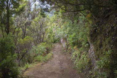 Chinamada yolu, Anaga masifi, Tenerife.