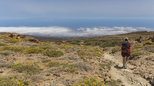 View from the Guajara of the south of Tenerife. — Stock Photo, Image