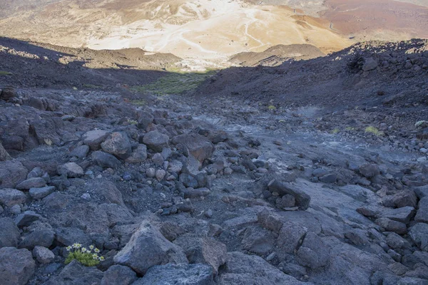 Ascenso a la cima del Teide por el sendero blanco de la montaña . —  Fotos de Stock