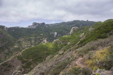 Chamorga'dan Roque Bermejo'ya giden yol, Anaga masifi.