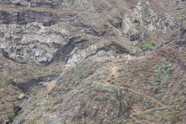 Chamorga Vadisi, Tenerife.