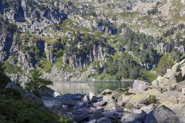 Yaz aylarında Gerber vadisi, Aig estortes ve Sant Maurici Estany milli parkı.