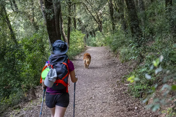 Une journée de treeking avec chien à Collsacabra . — Photo