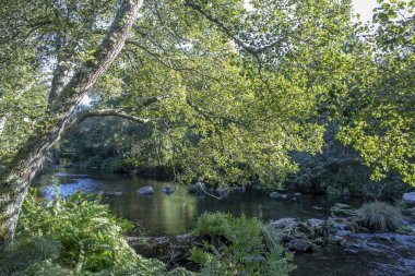 Ponte do Porto değirmeni rotası.