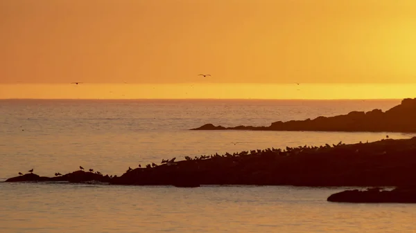 Pôr-do-sol do porto de Camari . — Fotografia de Stock