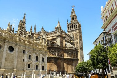 Giralda Katedrali'nin.