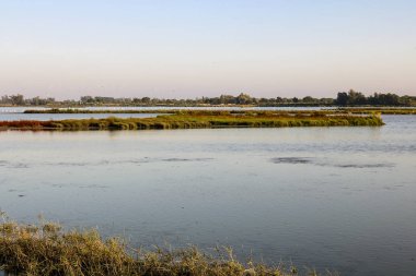 Ana Milli Parkı yap.