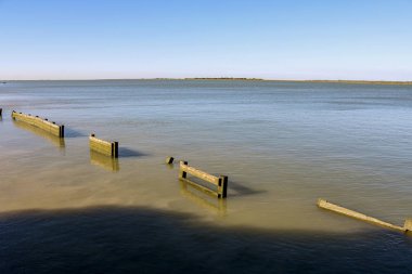 San Lucar de Barrameda yakınlarındaki Do ana milli parkının sahili.