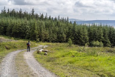 Pati bir kız ile Wicklow yolu.
