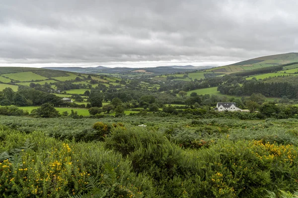 Wicklow Way Landschaft an einem bewölkten Tag. — Stockfoto