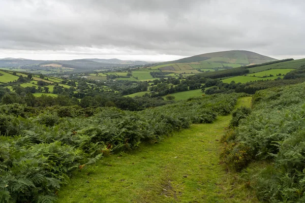 Wicklow Way Landschaft an einem bewölkten Tag. — Stockfoto