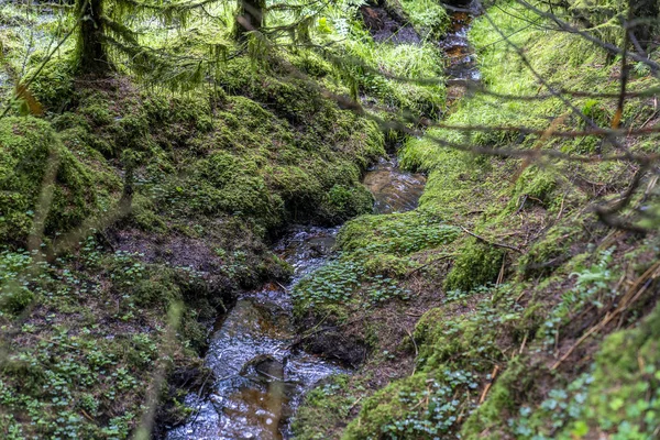 Kleine kreek in Wicklow Way. — Stockfoto