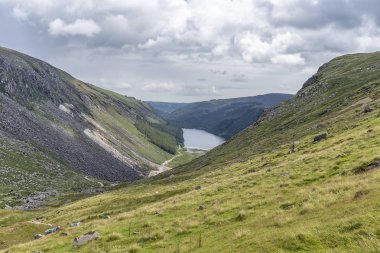 Glendalough Yukarı göl, Glenealo vadisi, Wicklow yolu.