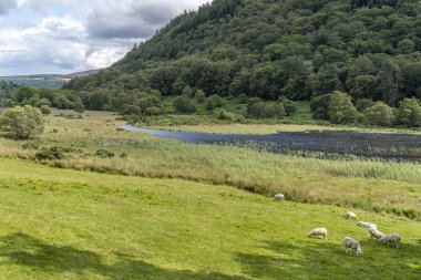 Glendalough Aşağı göl, Glenealo vadisi